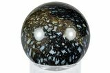 Polished, Black Petrified Palm Root Sphere - Indonesia #308999-1